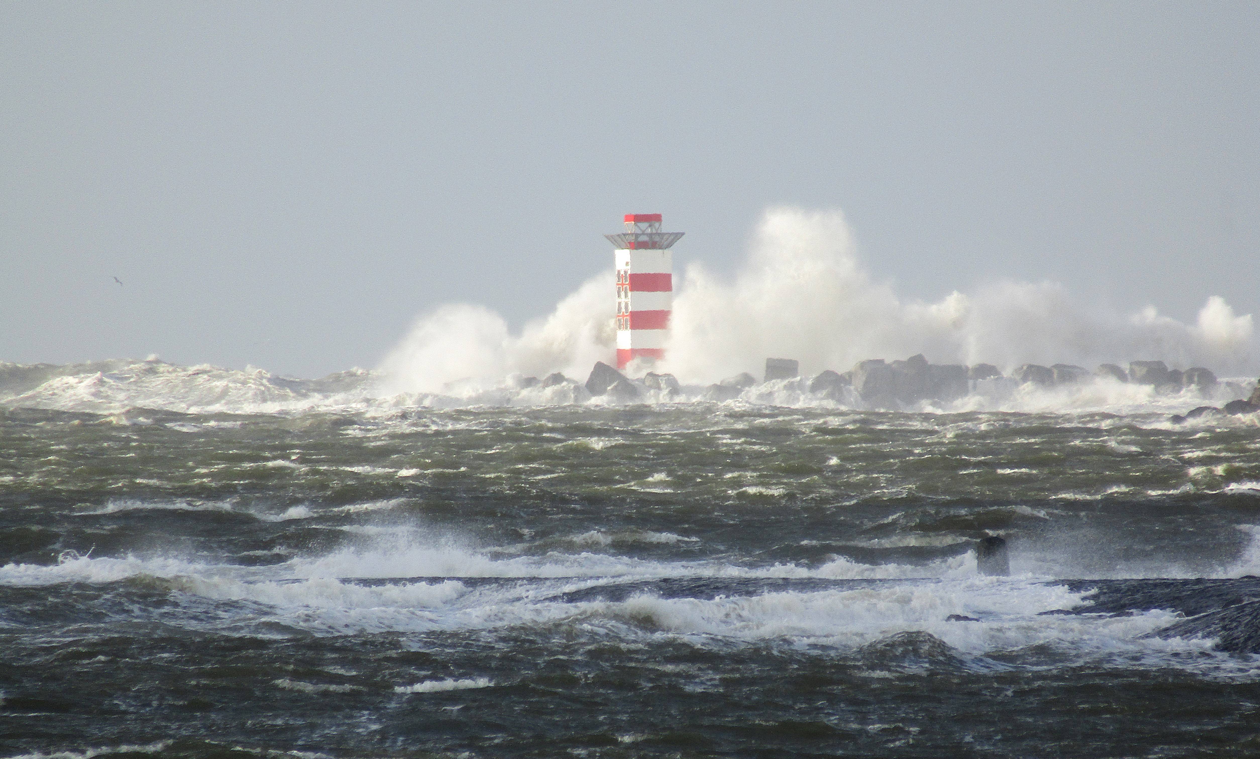 Pieren IJmuiden   22-12-24 